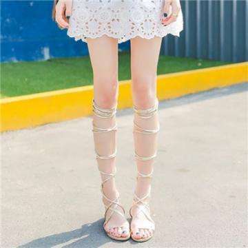 澳门人威尼斯3966手机app下载